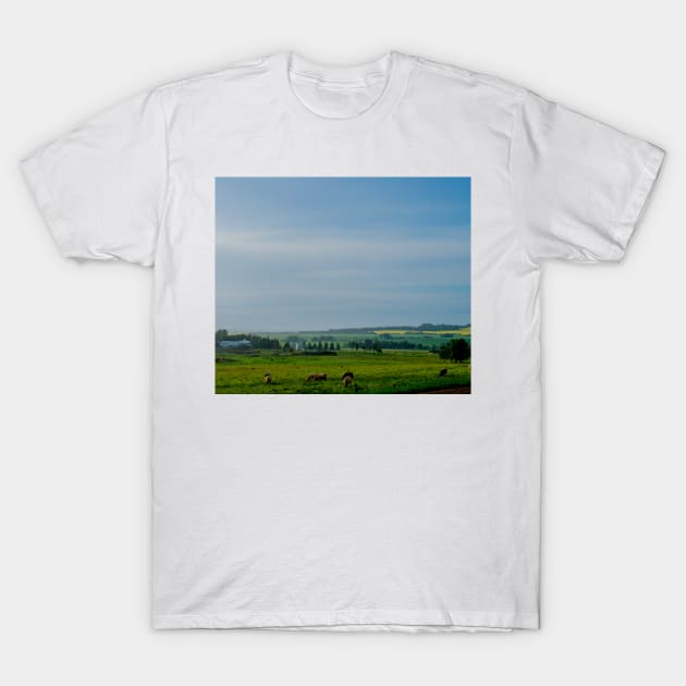 Farm with grazing cattle T-Shirt by StevenElliot